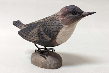 White-throated dipper 13x9x4 cm