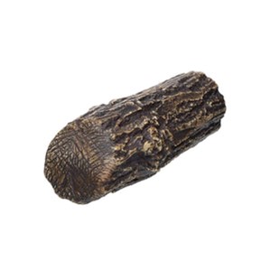 Pleco Cave Natur M 13,5 x 5,0 x 4,5 cm - 3