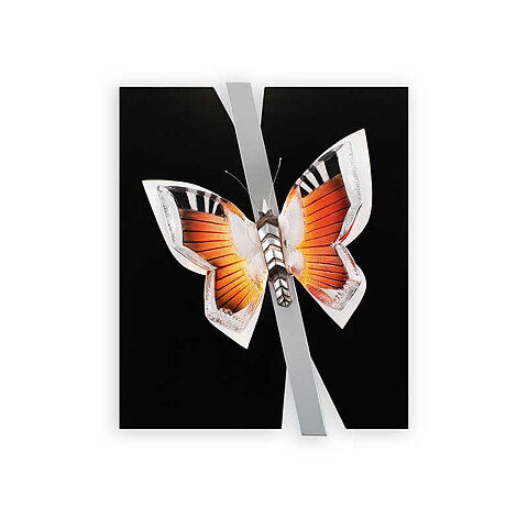 Ready to fly Ltd Ed