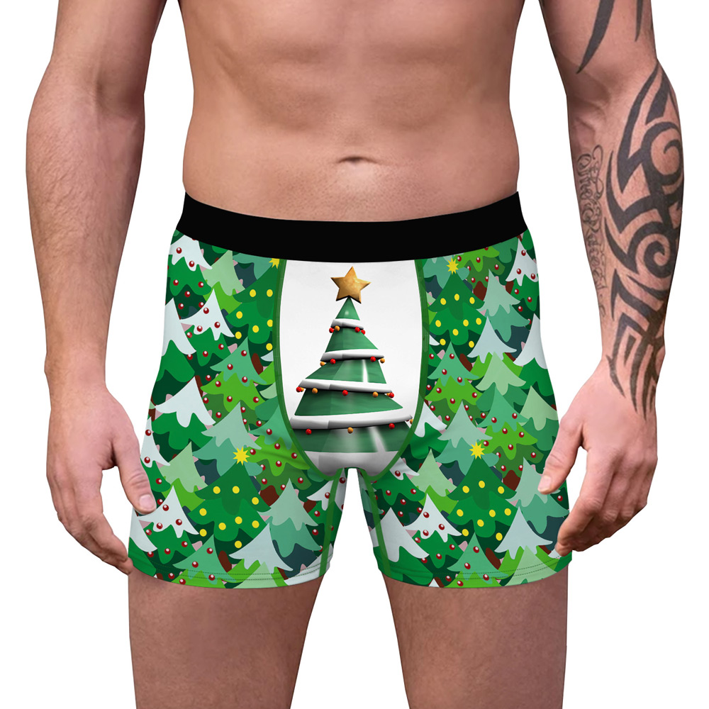 Herrboxer Julgran - 2