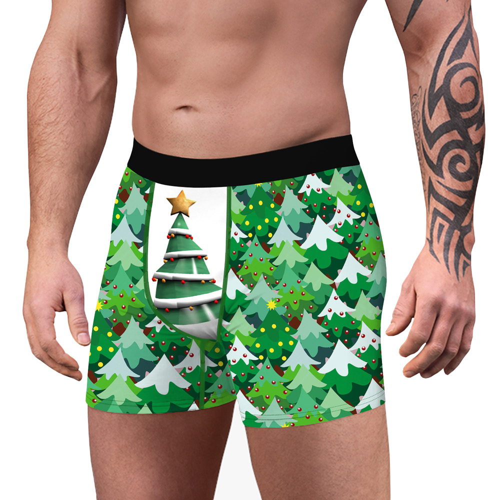 Herrboxer Julgran - 3