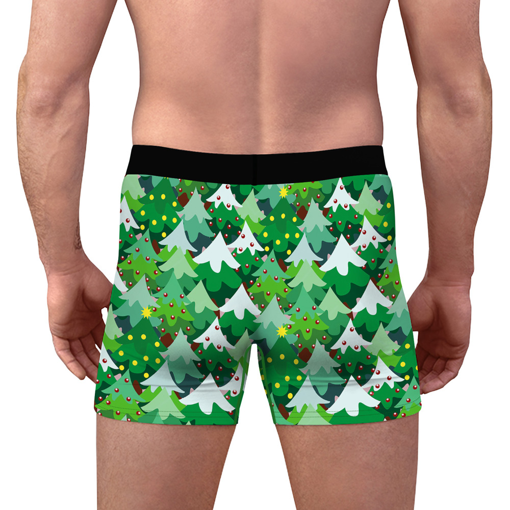 Herrboxer Julgran - 4