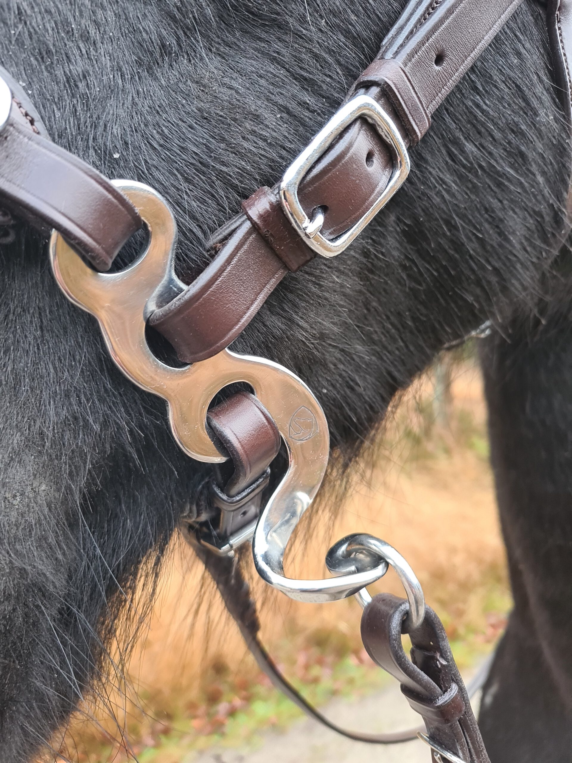 Hackamore Edix© Q-Classic - shanks silver - 17