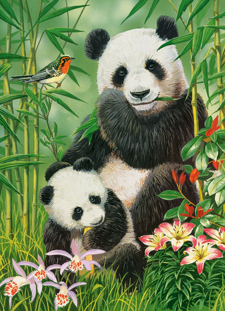 Panda Brunch, 300-bitarspussel (B-030507)