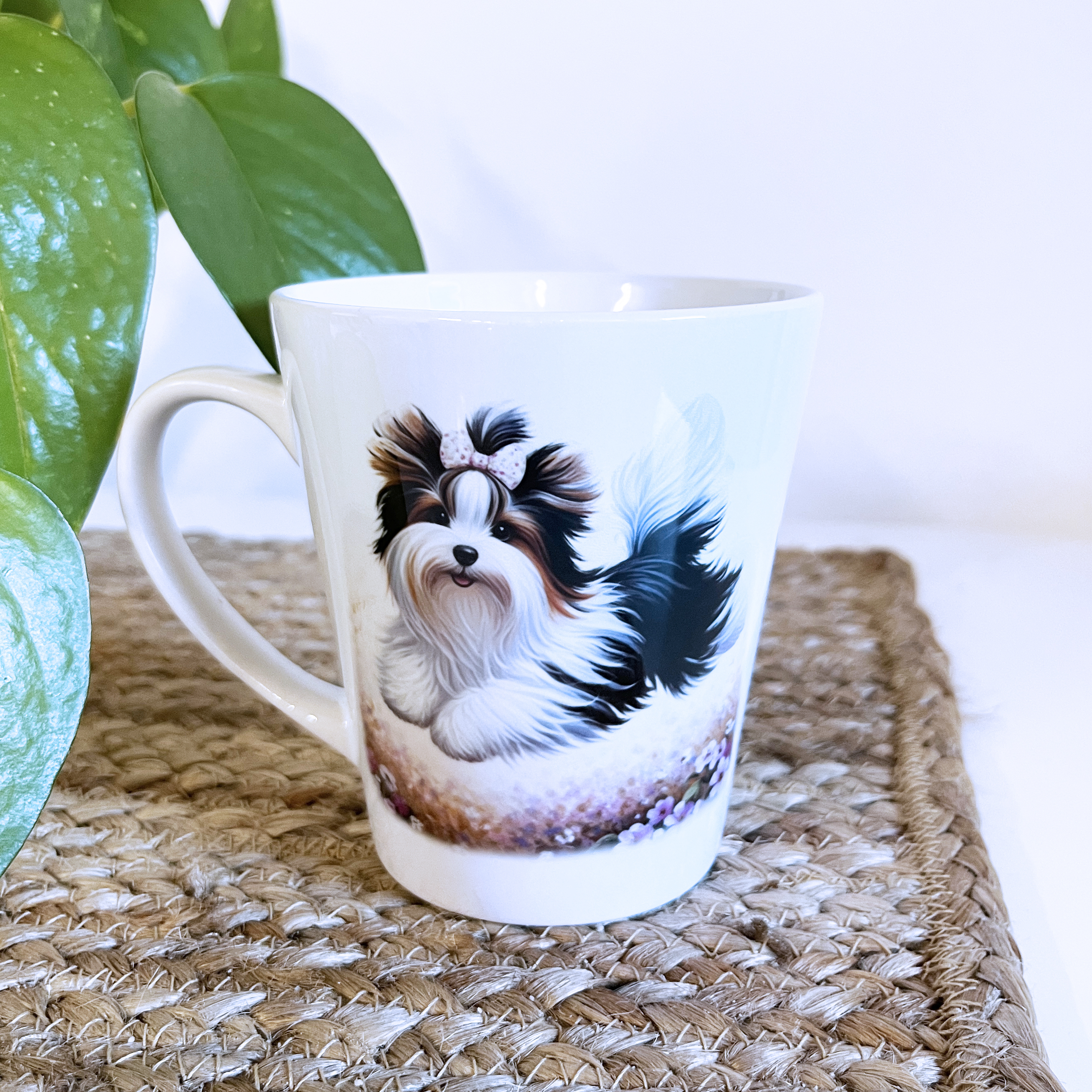 Mugg  Biewerterrier
