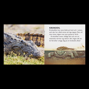 DJUREN SOVER VÄRLDSNATURFONDEN WWF pixiböcker - P40