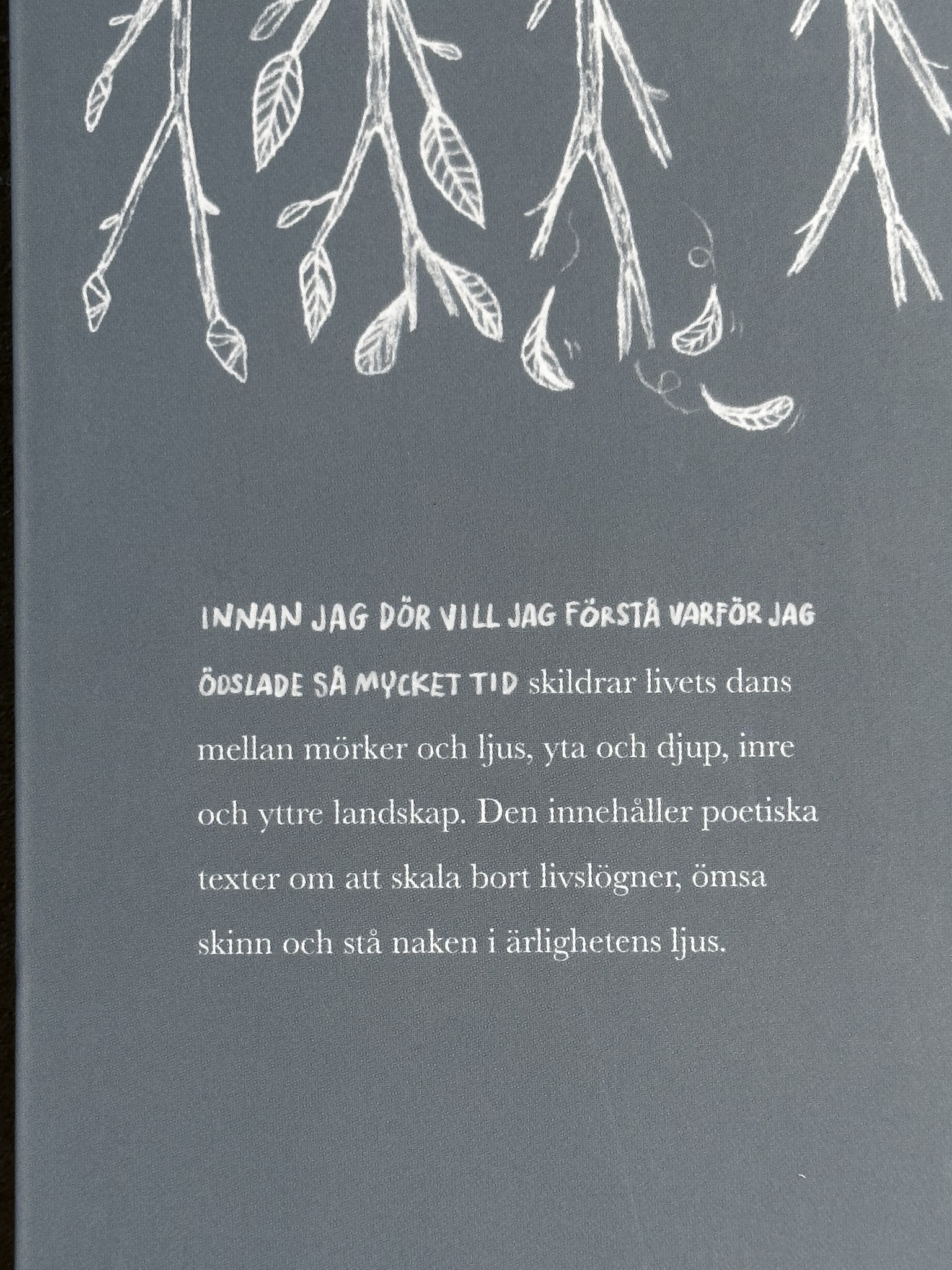 Bok "Innan Jag Dör Vill Jag Förstå Varför Jag Ödslade Så Mycket Tid" - 3