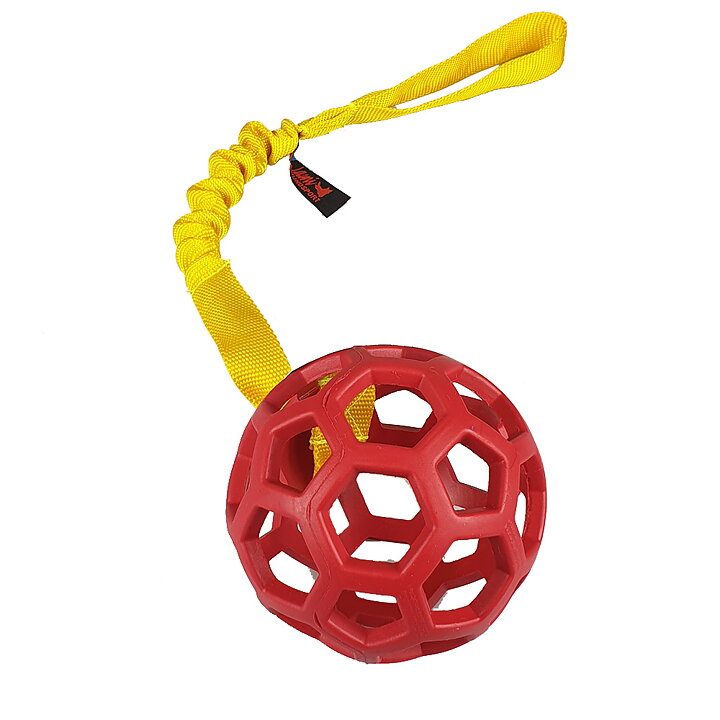 Jami Hundsport JW Nätboll S med Expander 50cm