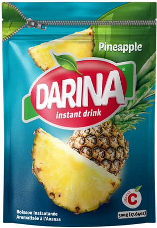 Ananas Saft Pulver 500g - Darina®