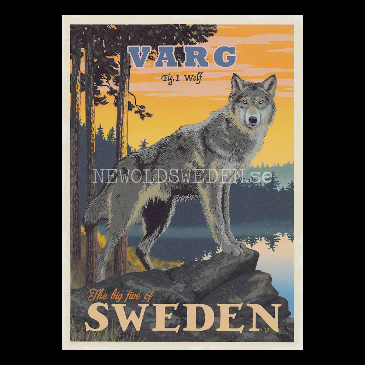 VARG WOLF No: 1 of 5 - ThomasOdesign - 554