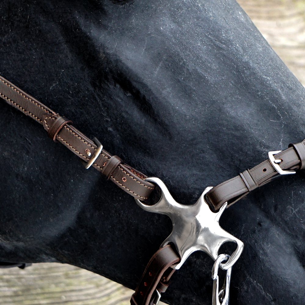 Hackamore shanks - Short, silver - 2