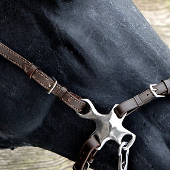 Hackamore shanks - Short, silver