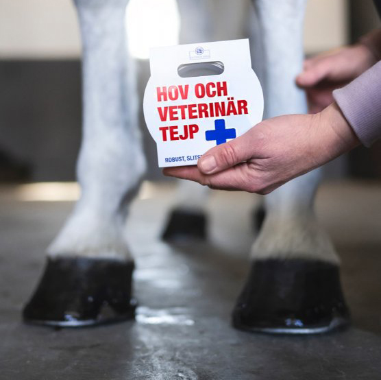 HOV- OCH VETERINÄRTEJP  - 3
