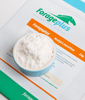 FORAGEPLUS ACETYL-L-CARNITINE 