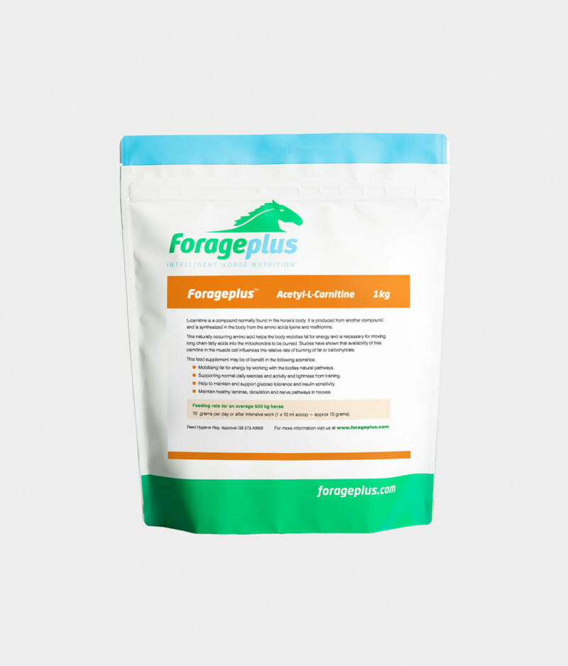FORAGEPLUS ACETYL-L-CARNITINE - Strmsbergsgrd