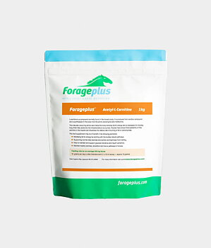 FORAGEPLUS ACETYL-L-CARNITINE 