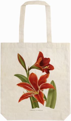 Tygkasse - Amaryllis & Gran - 2