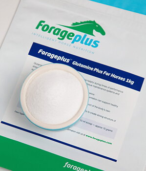 FORAGEPLUS GLUTAMINE PLUS