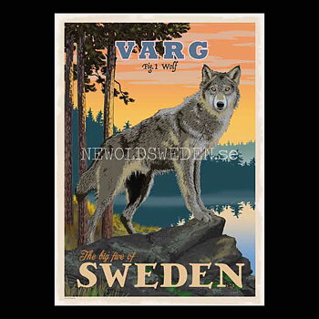 VARG WOLF No: 1 of 5 - A4 - ThomasOdesign - BB07