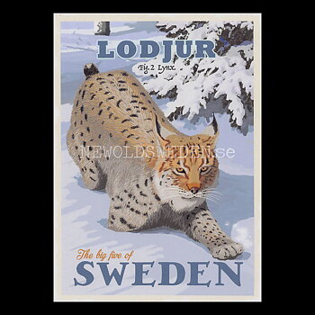 LODJUR LYNX No: 2 of 5 - ThomasOdesign - 554
