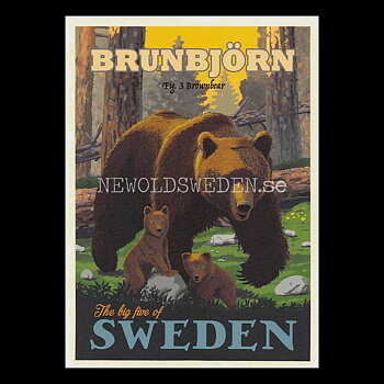 BRUNBJÖRN BROWNBEAR No: 3 of 5 - ThomasOdesign - 554
