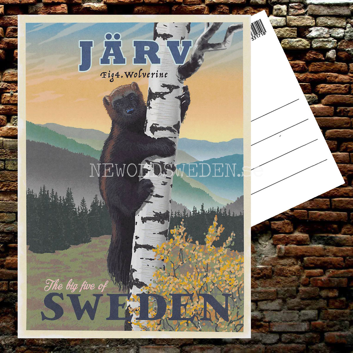 JÄRV WOLVERINE No: 4 of 5 - Vykort 13 x 18 cm - ThomasO - 554 - 2