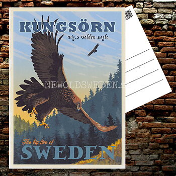 KUNGSÖRN GOLDEN EAGLE No: 5 of 5 - ThomasOdesign - 554