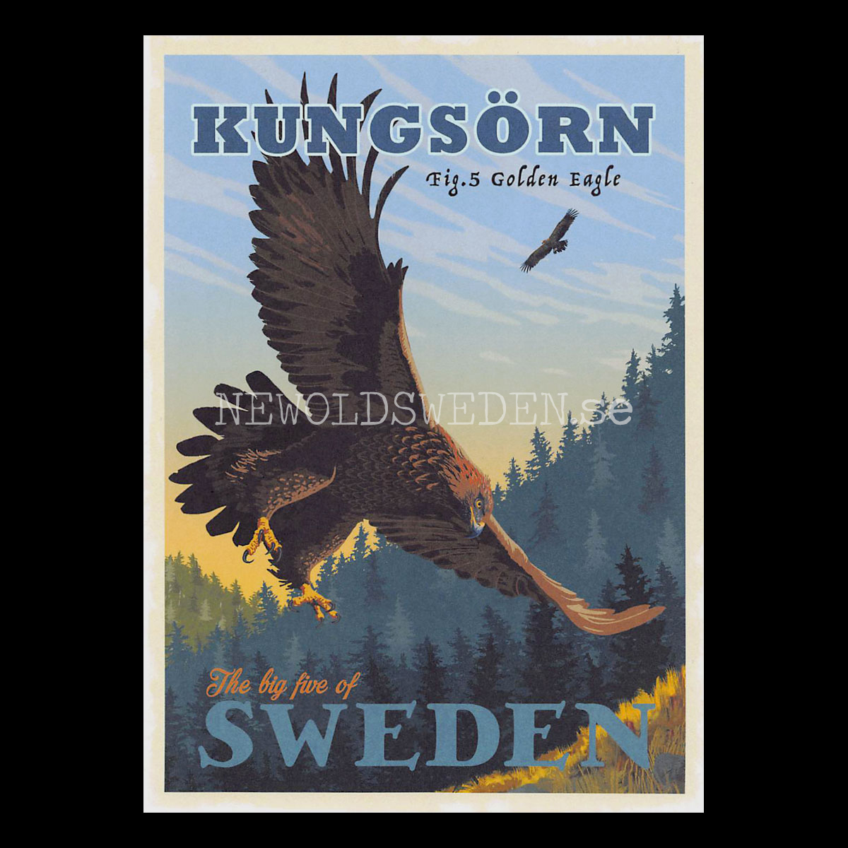KUNGSÖRN GOLDEN EAGLE No: 5 of 5 - ThomasOdesign - 554