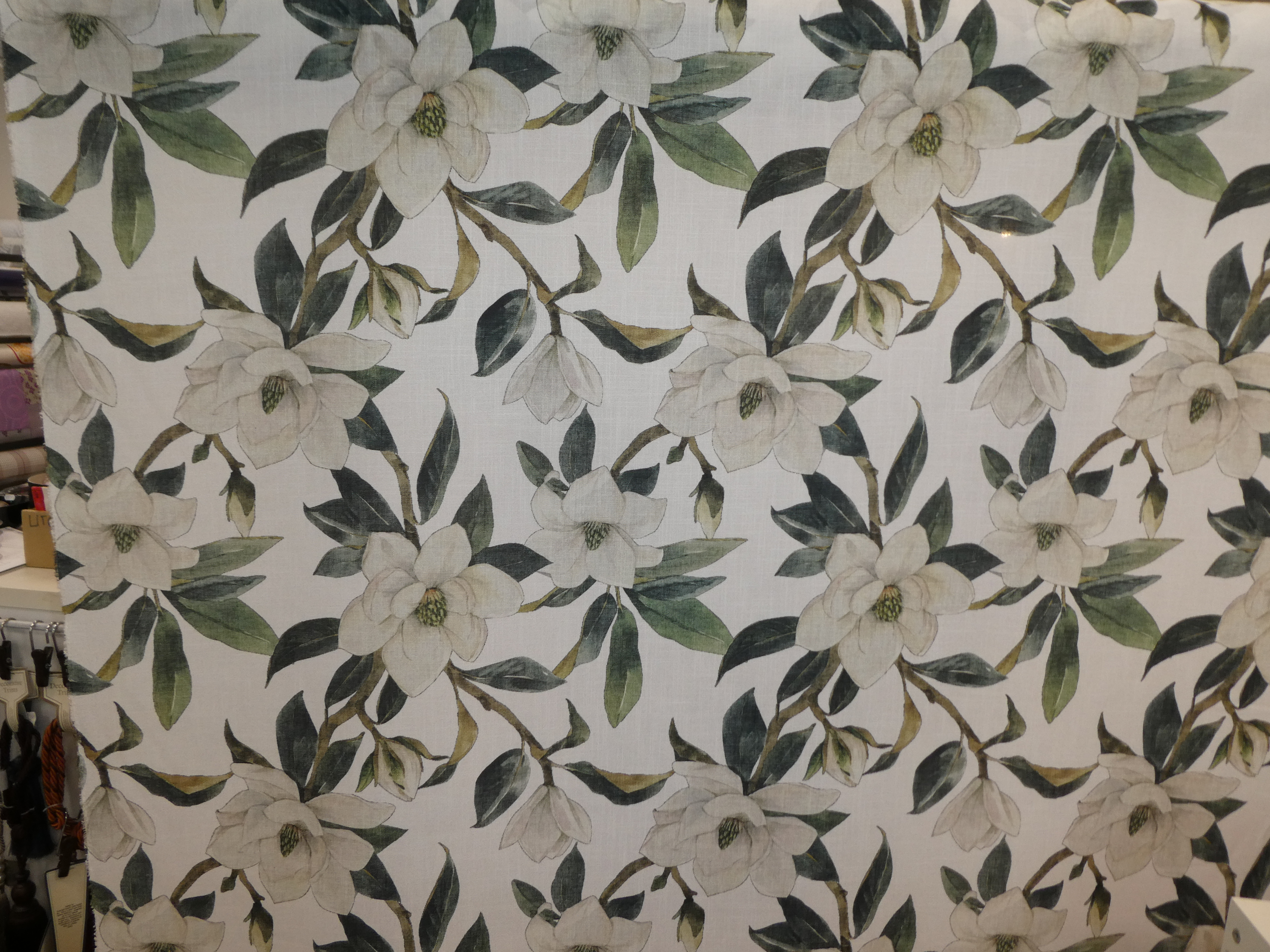 Jena ljus botten  med vita blommor och gröna blad
