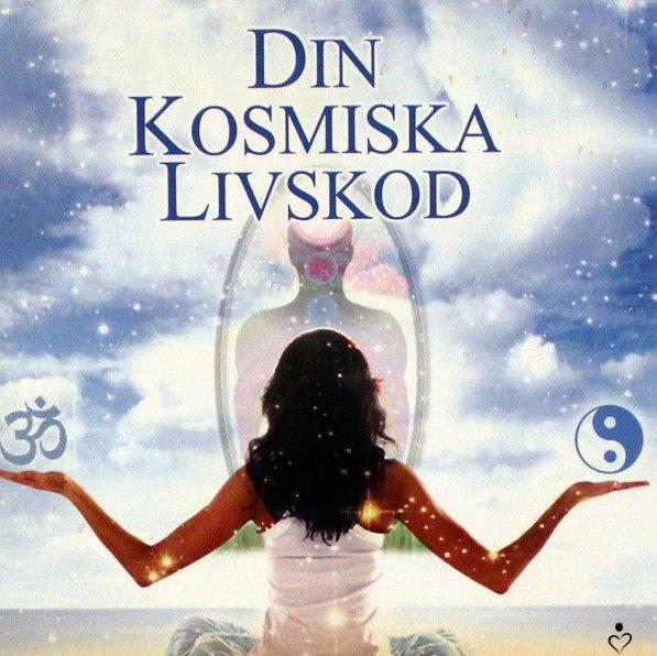 Din kosmiska livskod av Niclas Thörn, Ulf Andersson - inbunden,