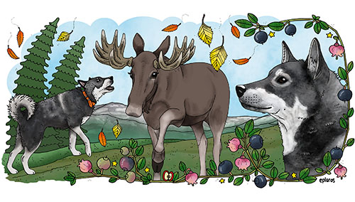 Vattenflaska - Jämthund - 2