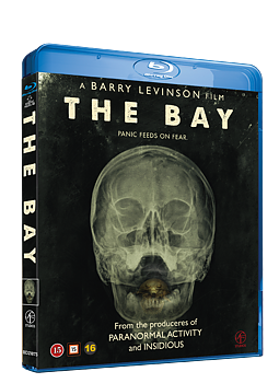The Bay BD
