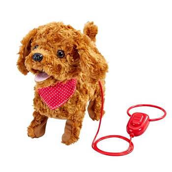 Happy Pets Walk Along Cockapoo
