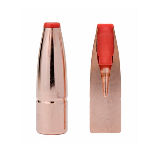 Hornady International™ Ammunition 9.3X62 250 gr ECX - 2