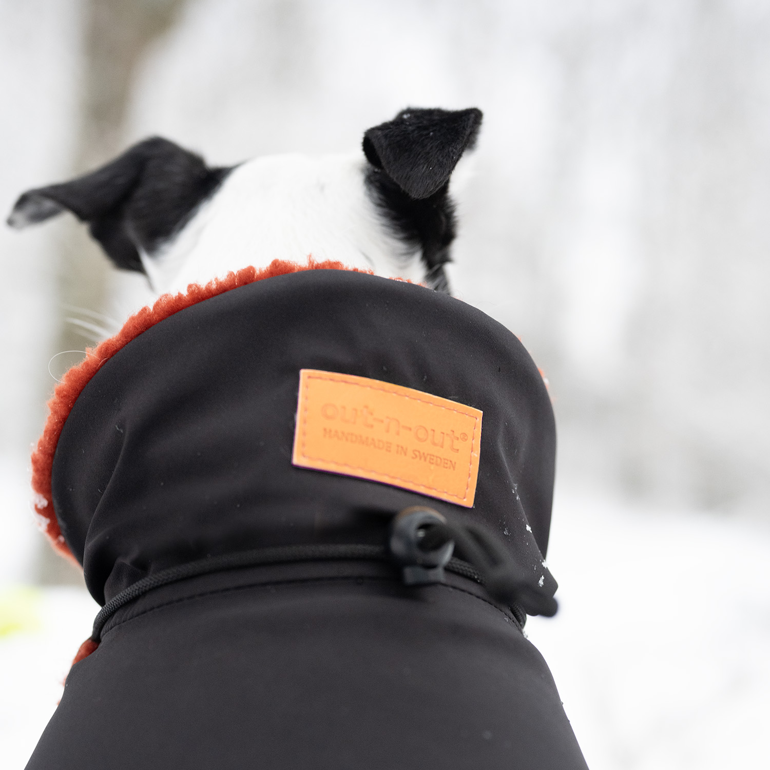 Winter Wool  (Limited) - 7