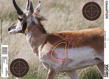 CHAMPION VISICOLOR REAL LIFE - BIG GAME - "BEAR, DEER & ANTELOPE"