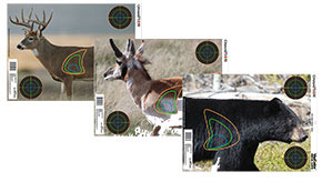 CHAMPION VISICOLOR REAL LIFE - BIG GAME - "BEAR, DEER & ANTELOPE" - 2