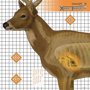 CHAMPION DEER TARGET 25X25 (6 PK)