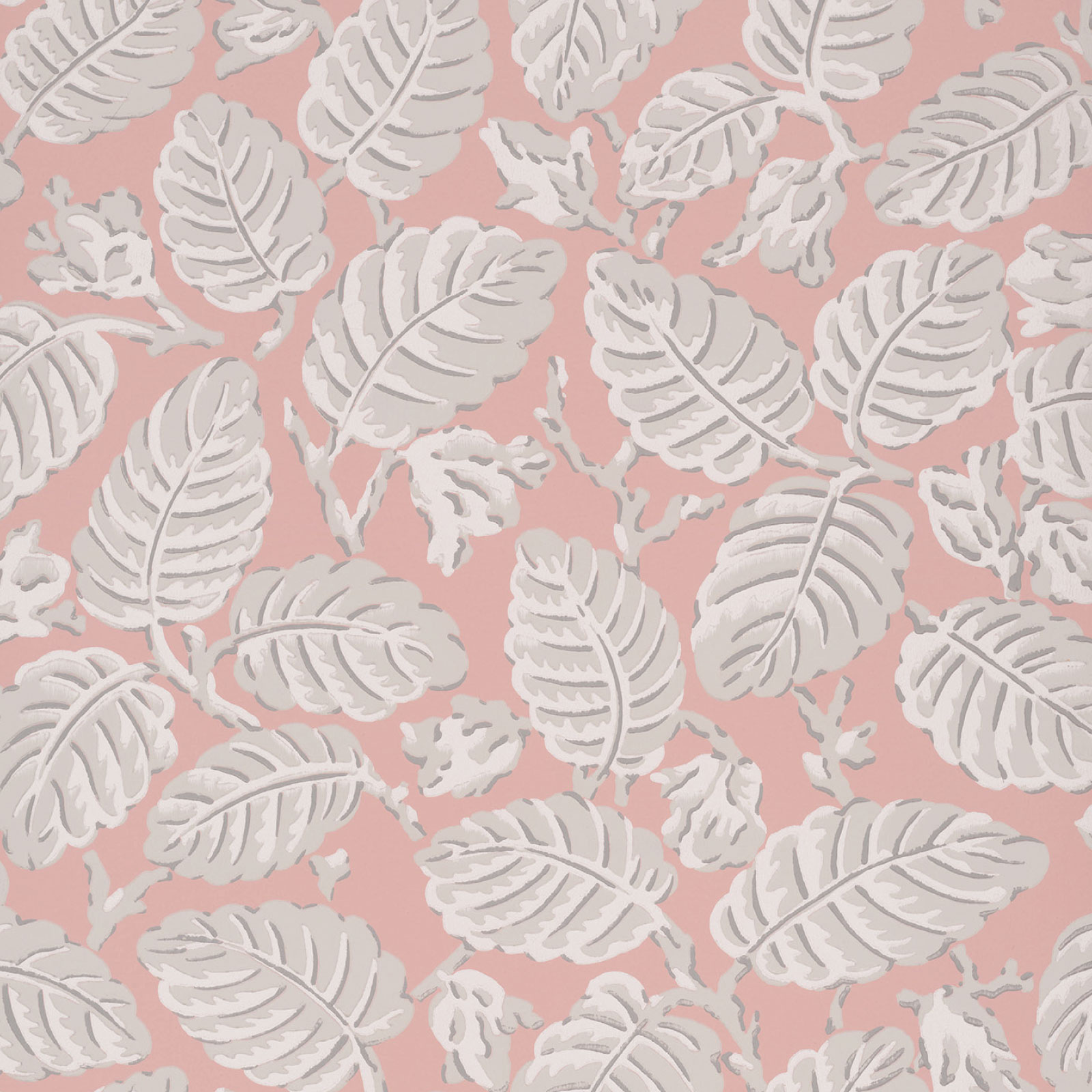 TAPET BEECH NUT,  Delicate