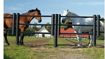 Ridbanestaket 2 slanor komplett med grind