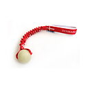 Denmark toy with ball