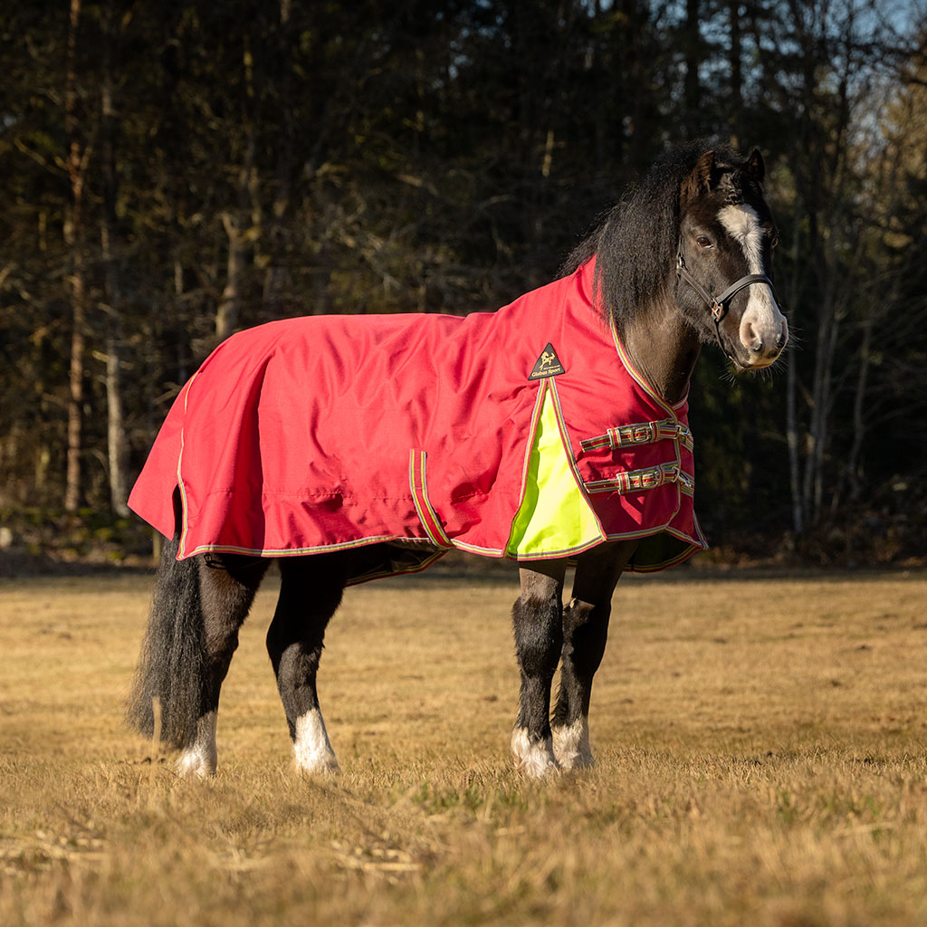 Globus Sport Miniature Turnout Rug Half Neck 100 g - Red 