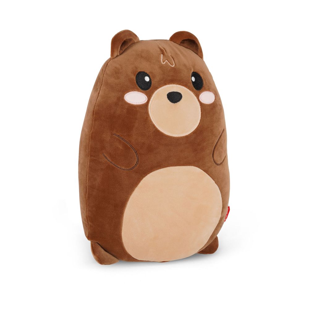 Super soft! Pillow, Teddy Bear