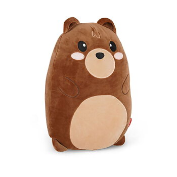 Super soft! Pillow, Teddy Bear
