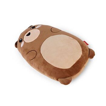 Super soft! Pillow, Teddy Bear