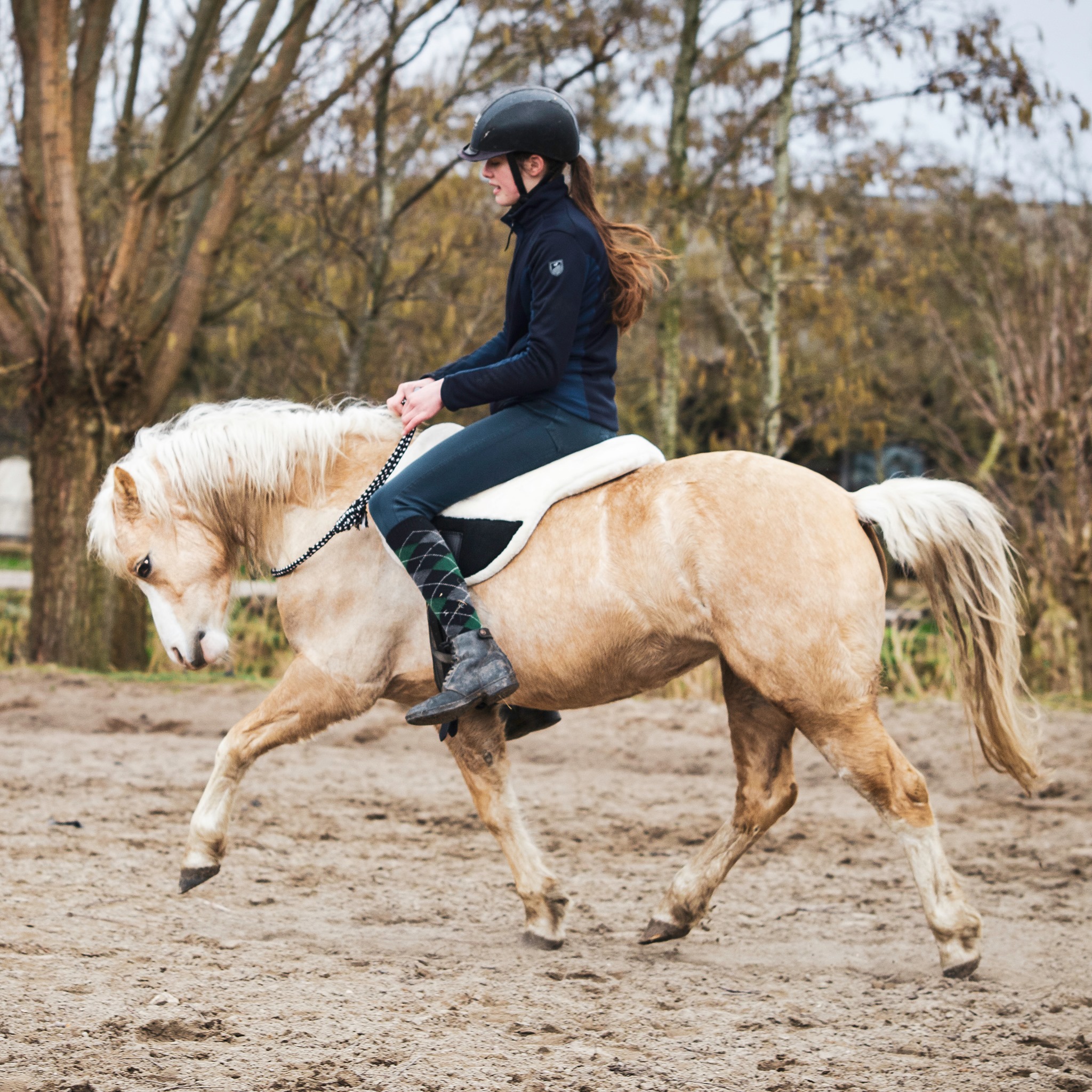 F.R.A® ride pad / bareback saddle Bisco, burgundybrown, cob/full - 9