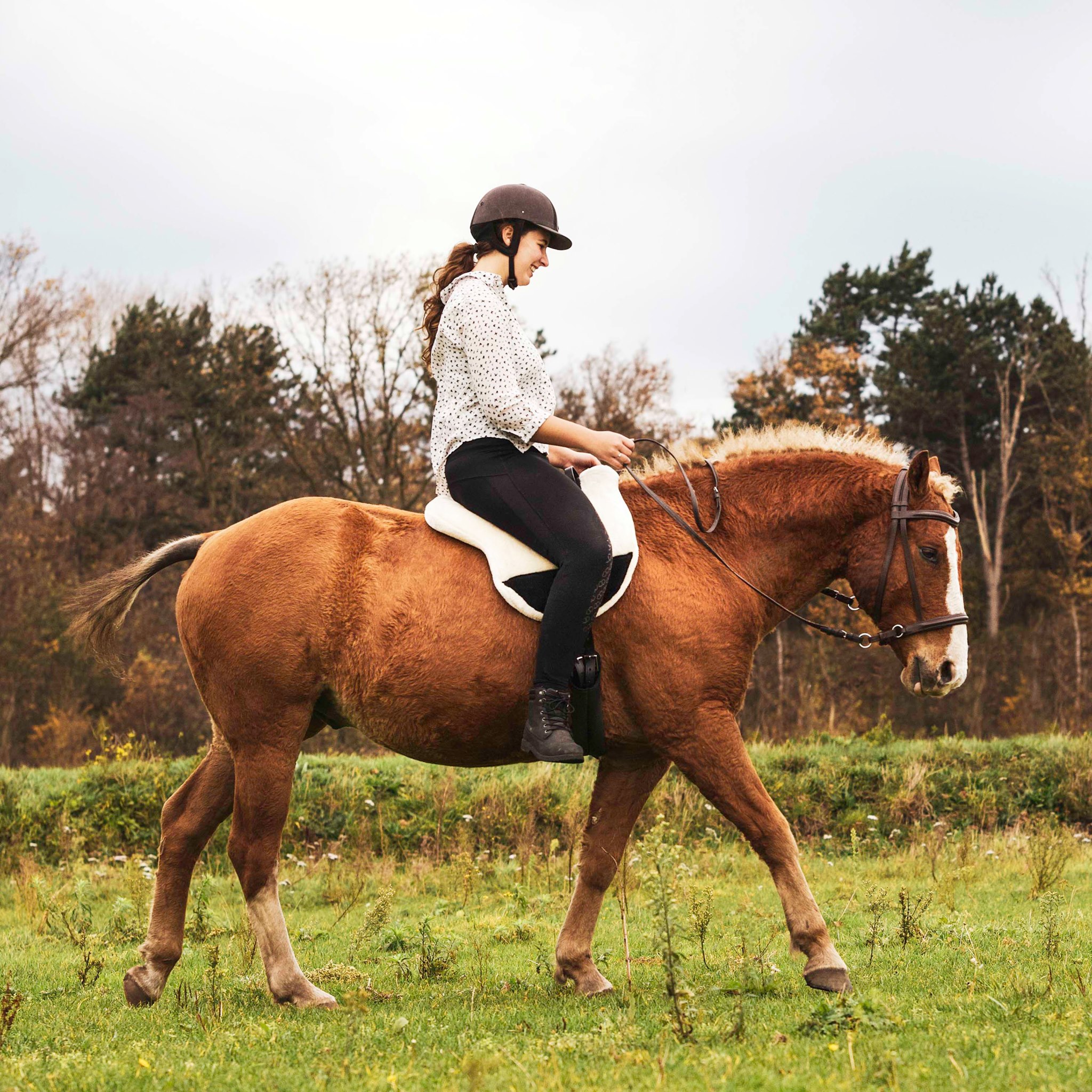F.R.A® ride pad / bareback saddle Bisco, burgundybrown, cob/full - 14