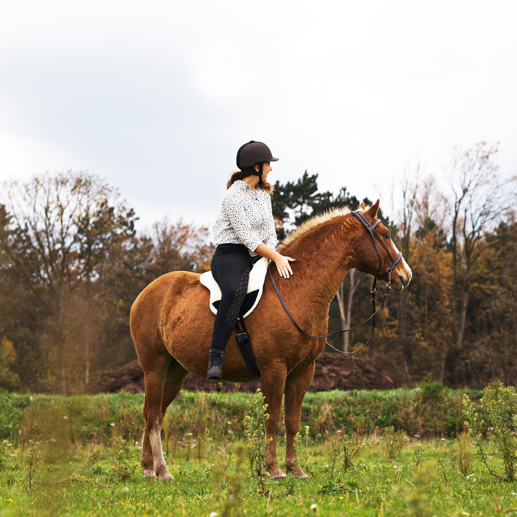 F.R.A® ride pad / bareback saddle Bisco, burgundybrown, cob/full - 11