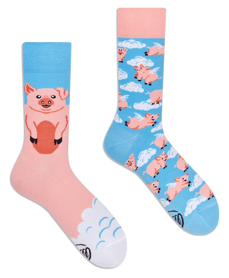 Many Mornings Piggy Dream