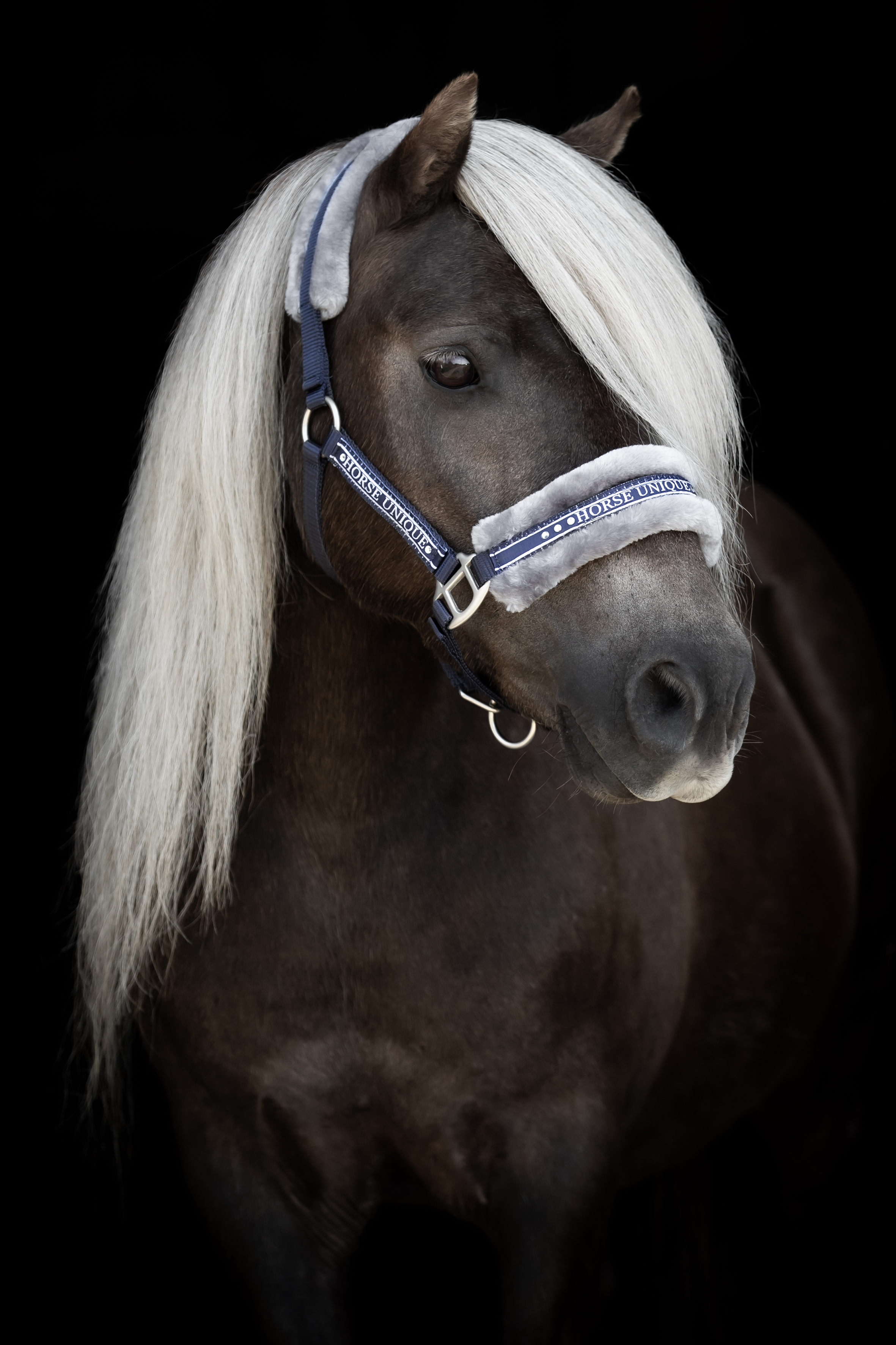 Källquist Equestrian Grimma Minishetland - Marin/Grå